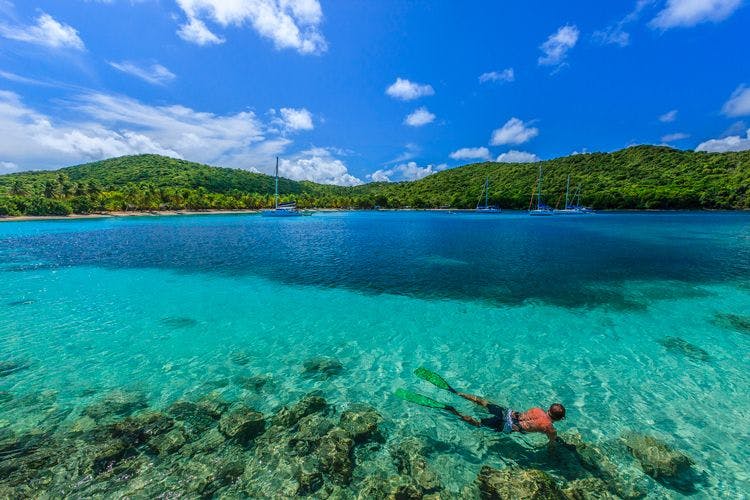 A man snorkeling a clear reef in Saint Vincent and the Grenadines