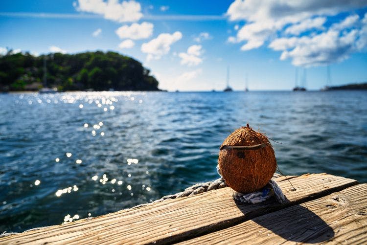 A coconut on a wooden boardwalk overlooking the sea