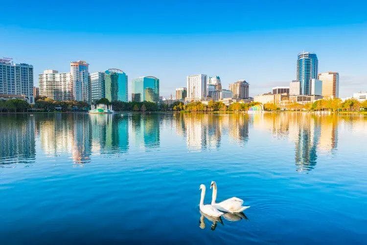 Two swans glide across a lake in front of the skyscrapers of Downtown Orlando