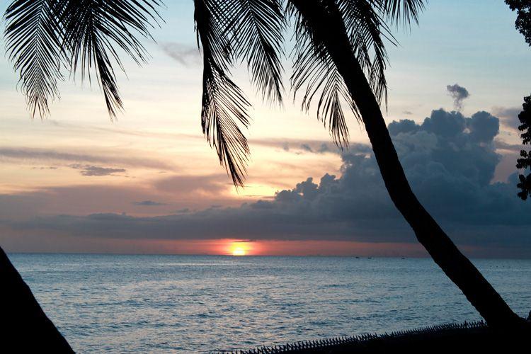 Sunset over the Caribbean Sea with a silhouetted palm tree in front