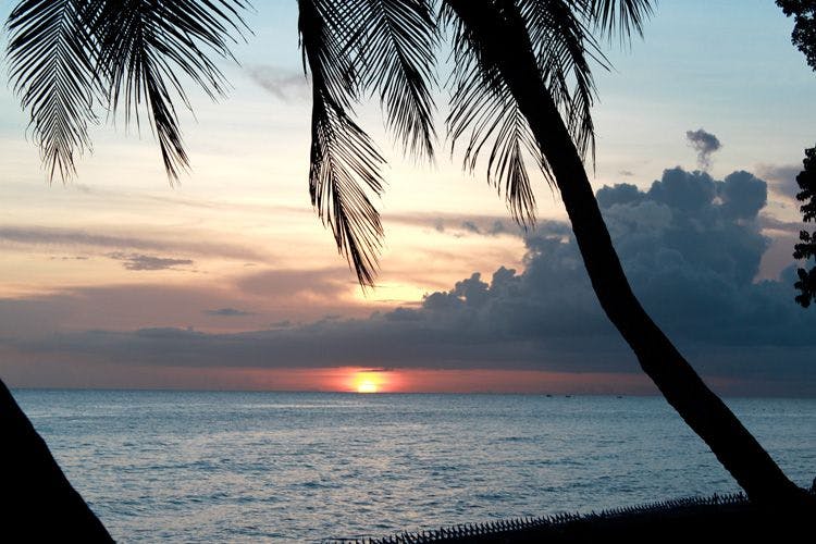 Sunset over the Caribbean Sea with a silhouetted palm tree in front