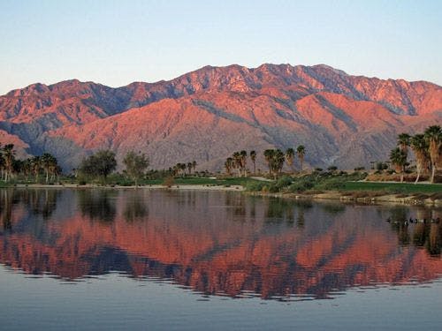 Palm Springs landscape