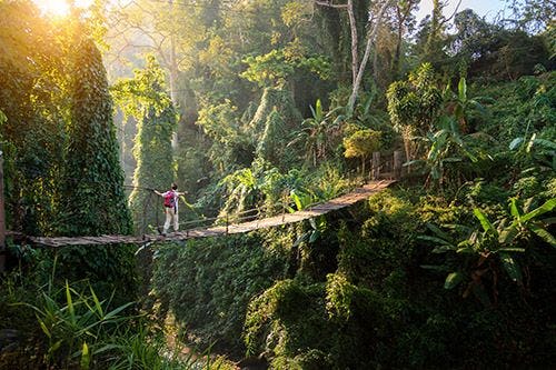 A man crossing a rope bridge in a Thailand rainforest