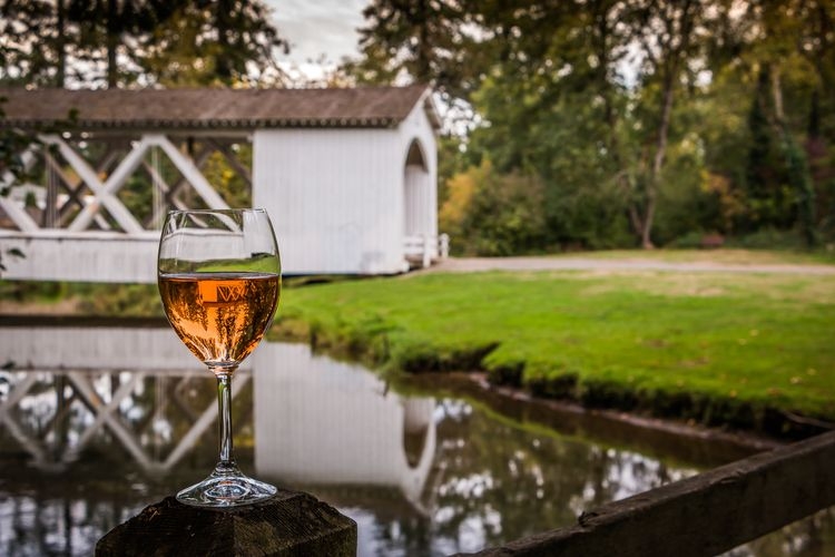 Things to do in Oregon, Wine tasting, rose in Willamette Valley