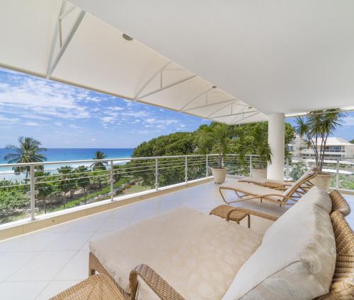 Palm Beach 502