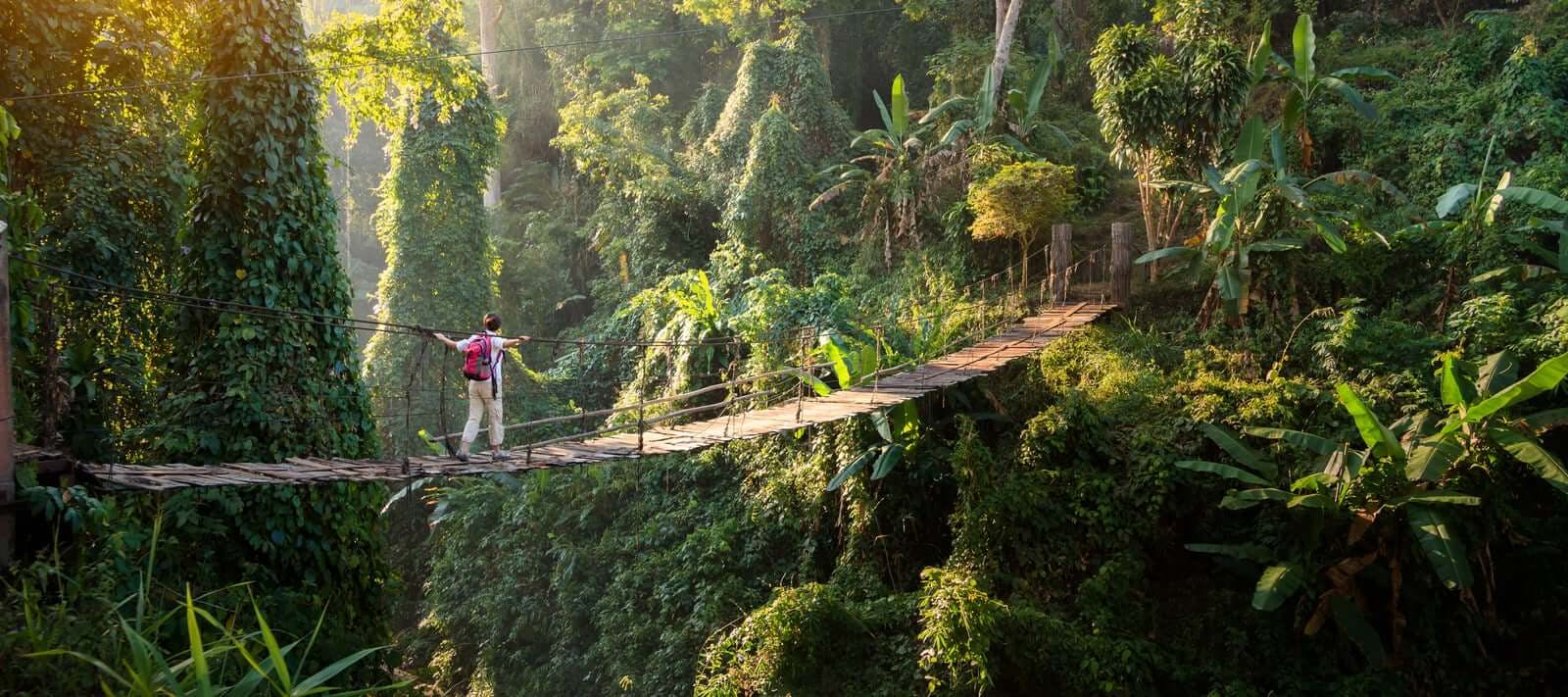 Thailand jungle rope bridge adventure travel