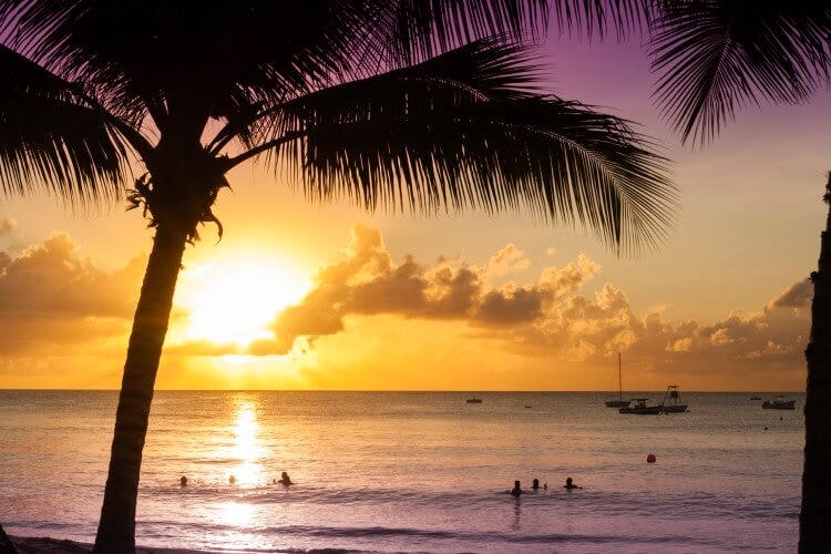 A beautiful sunset in the Caribbean, with palm trees silhouetted in the foreground, people swimming in the sea and the Sun setting over the horizon