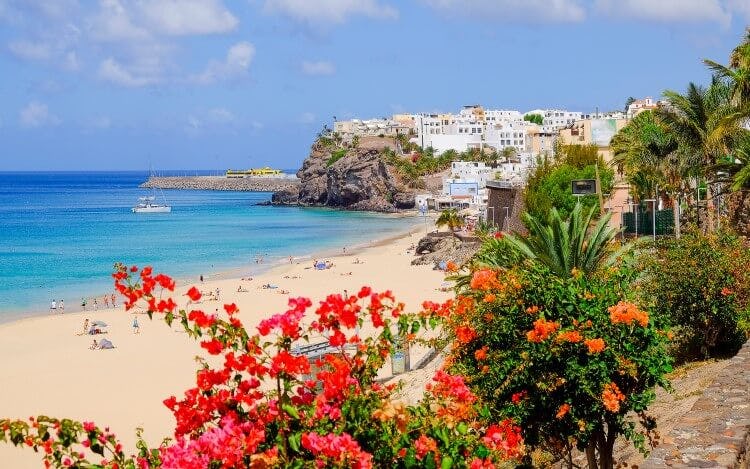 A white sand beach framed by small cliffs, tropical flowers and a traditional town on Fuerteventura