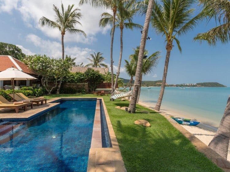 pool next to beach with palm trees