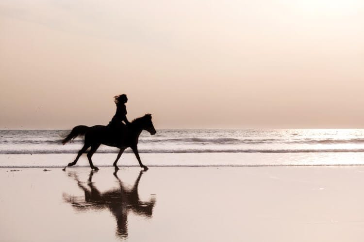 person riding horse on beach