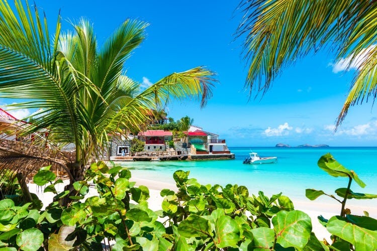A view of a beach on St Barts, taken through the leaves of palm trees, showing a white sand beach, blue sea, and beach bars and buildings