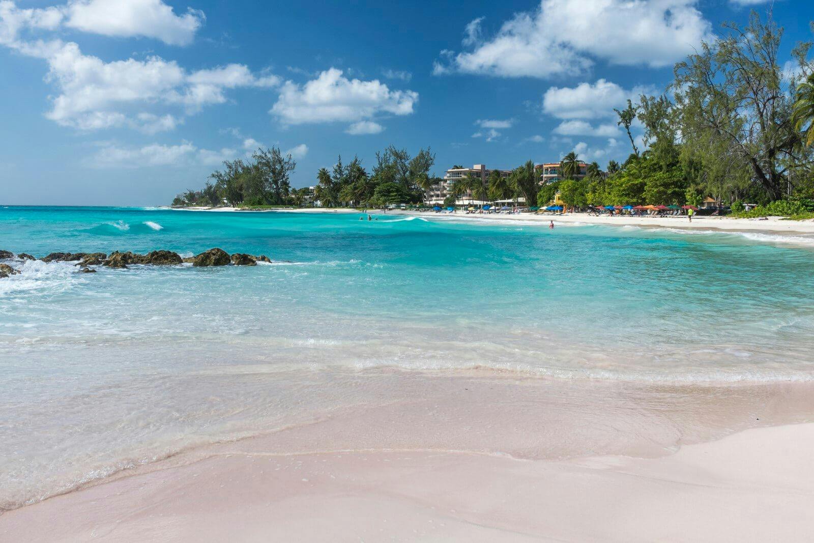 Barbados beach panorama