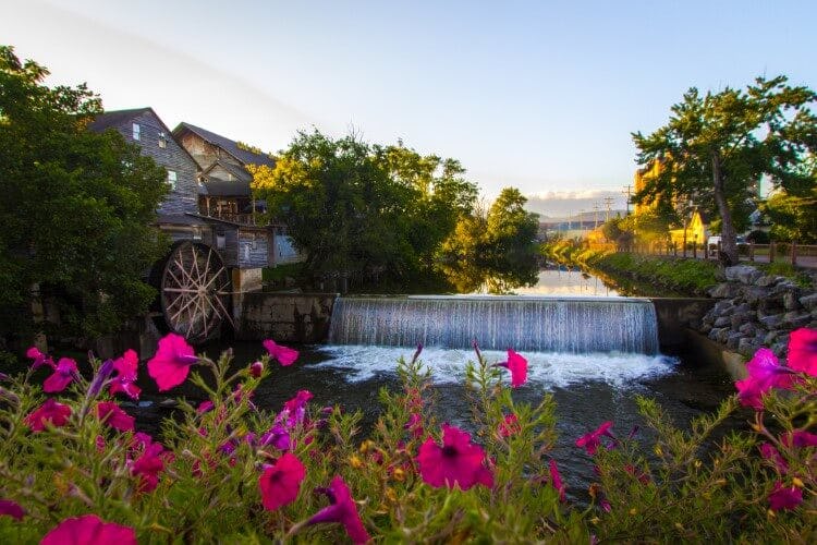 running water and pink flowers in pigeon forge