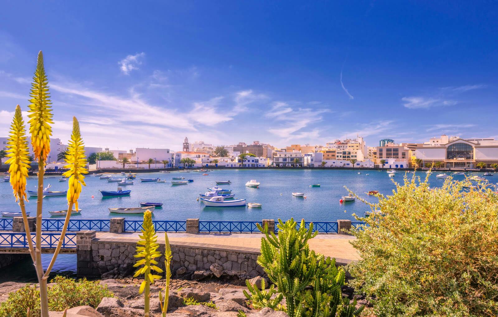 view of a bay with boats in Lanzarote
