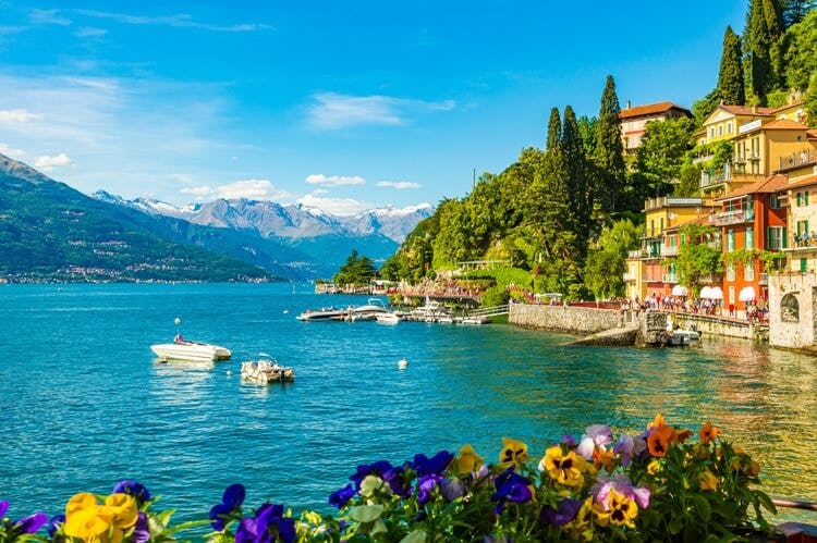 lake como with mountains on the left and buildings on the right, and flowers in foreground
