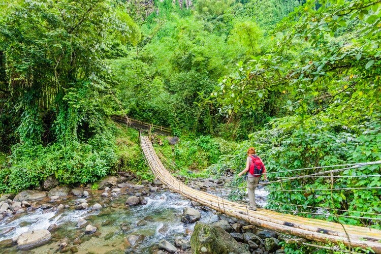 A woman with red hair and a backpack hikes along a rope bridge over a shallow rocky river in a Caribbean rainforest