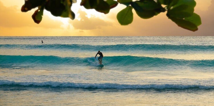 A man surfing a rolling wave at sunset on a Barbados beach