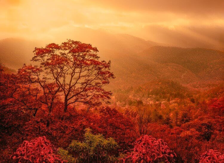 The Great Smoky Mountains in the fall, with golden light breaking through low clouds