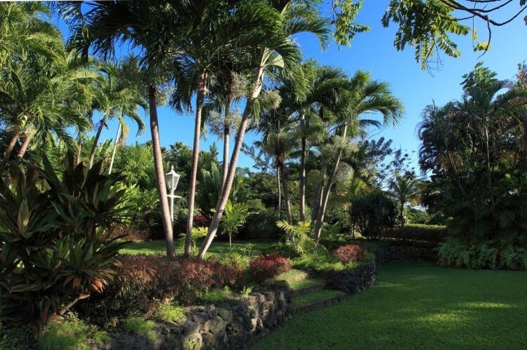 Sandy Lane Resort tropical gardens