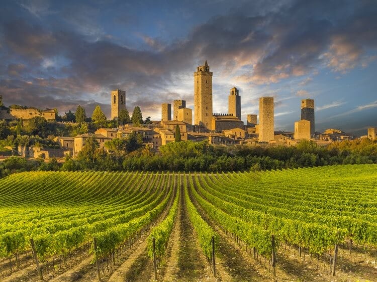 a city in Tuscany with vineyards in foreground