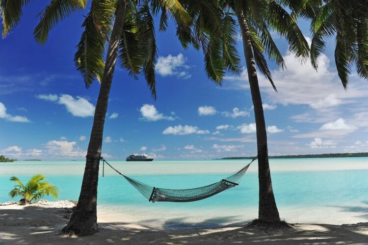 Caribbean beach hammock