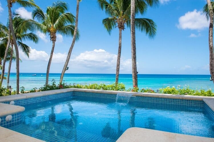 pool overlooking palm trees and ocea 