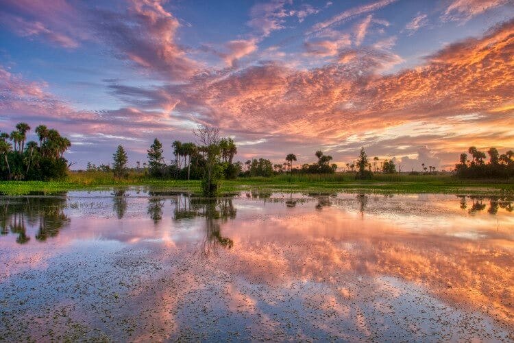 Sunrise over Florida wetlands