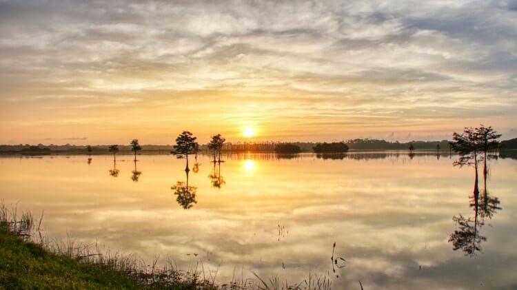 Florida wetlands at sunrise