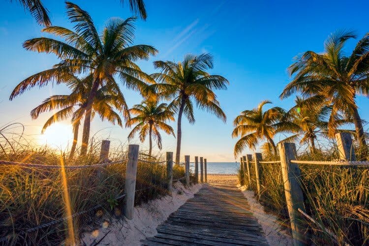 boardwalk to beach in florida