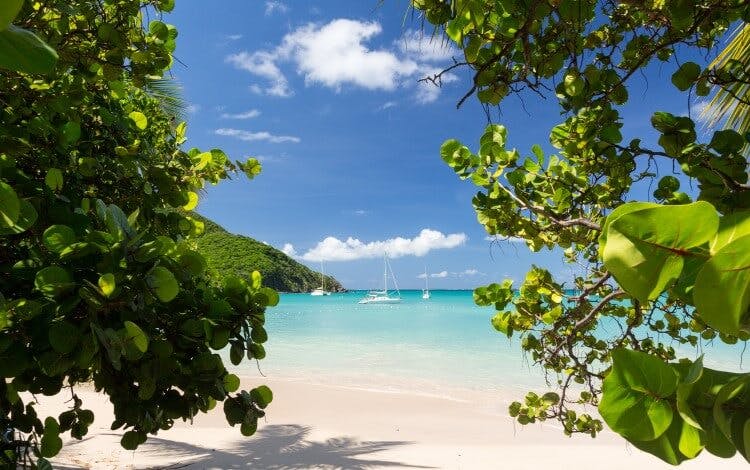 A view through tropical leaves of Anse Marcel beach, with white sand, turquoise water and small white boats bobbing on the waves