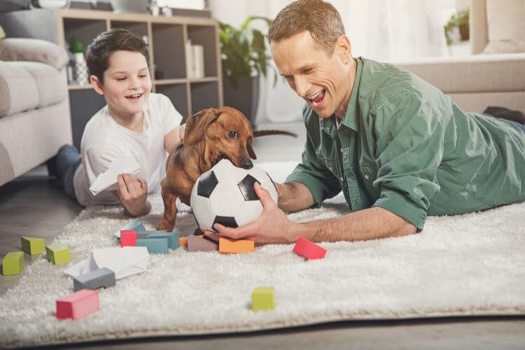 A man and young boy play with a dachshund puppy on the floor of a house