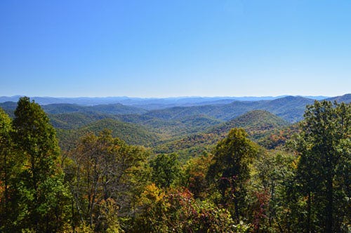 Forest landscape near Candler, North Carolina