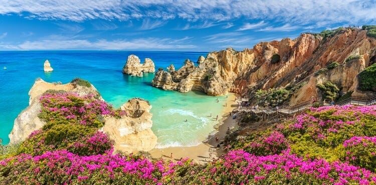 beach in portugal with cliffs and pink flowers