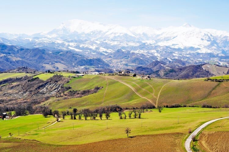 Snow-capped mountains a yellow-green fields in Le Marche, with a road winding through the landscape