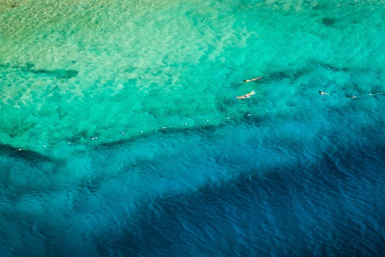 An ariel shot of people swimming and snorkeling in clear shallow water in Turks and Caicos, just before the ocean floor drops off into deeper water