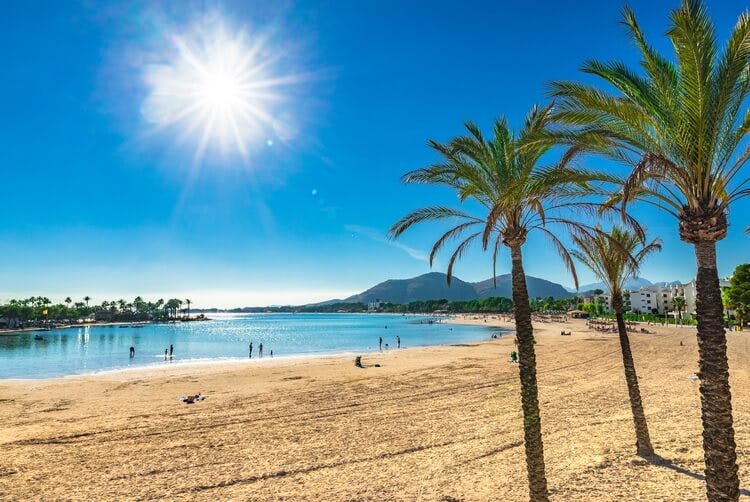 a beach with palm trees and shining sun