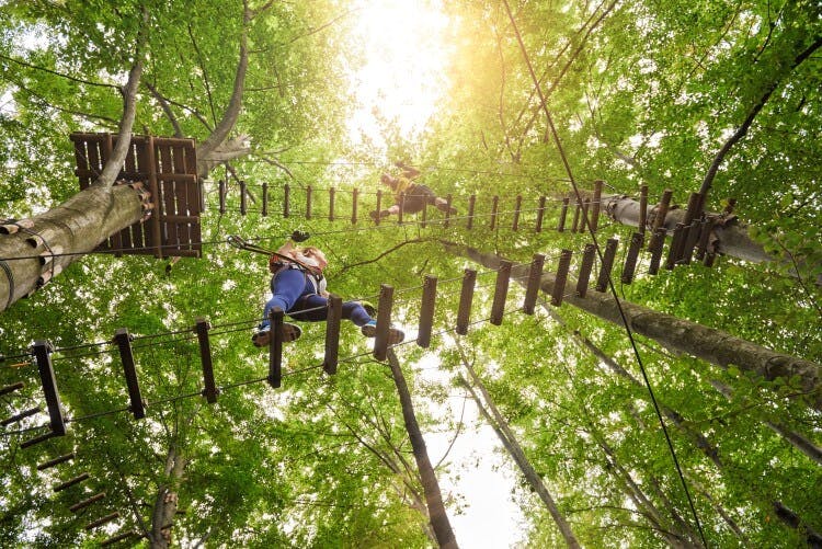 Two people taking part in a treetop adventure course