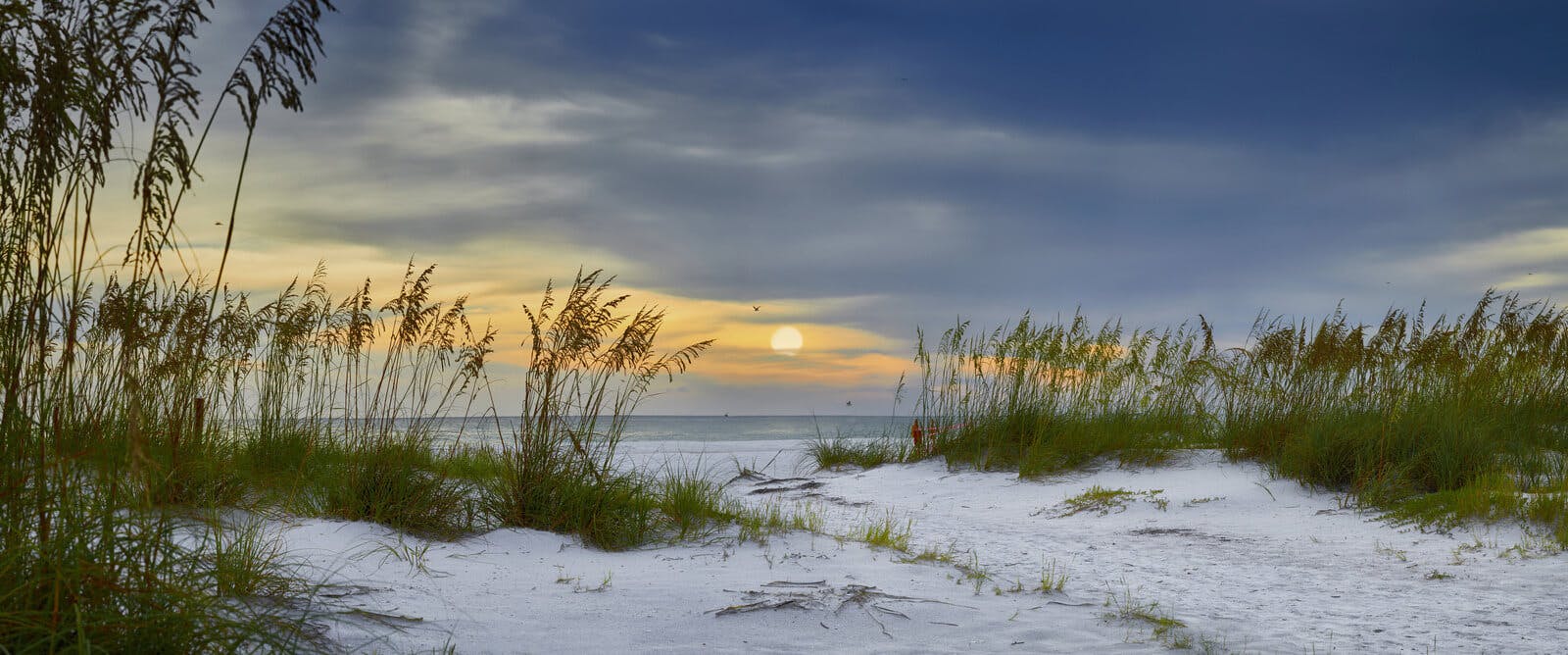 Holmes Beach in Anna Maria Island - panoramic image of white sand with beach grass and sunset sky