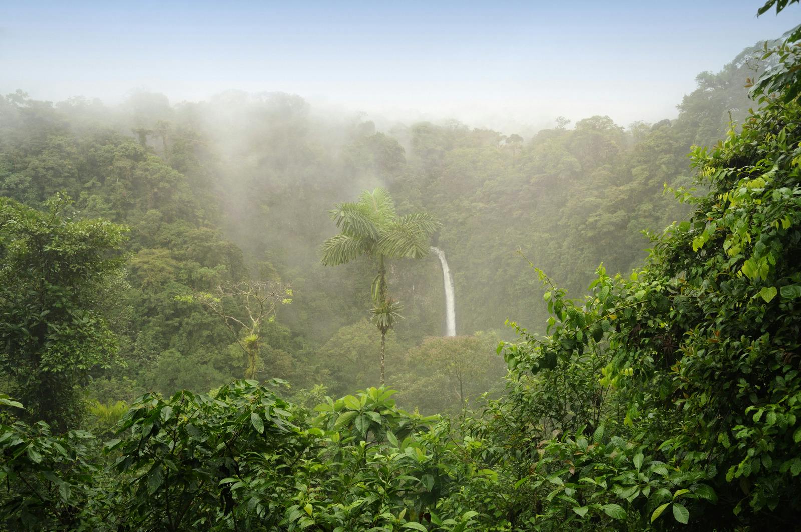 A rainforest with waterfall in Costa Rica, Central America