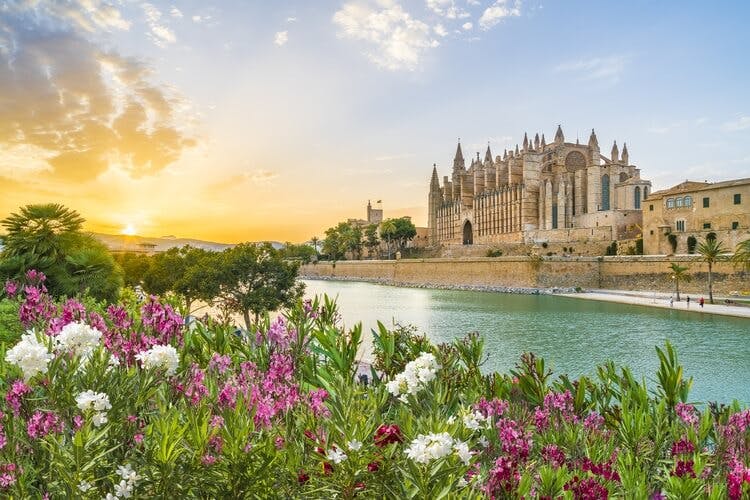 the cathedral in Palma de Mallorca with flowers in foreground