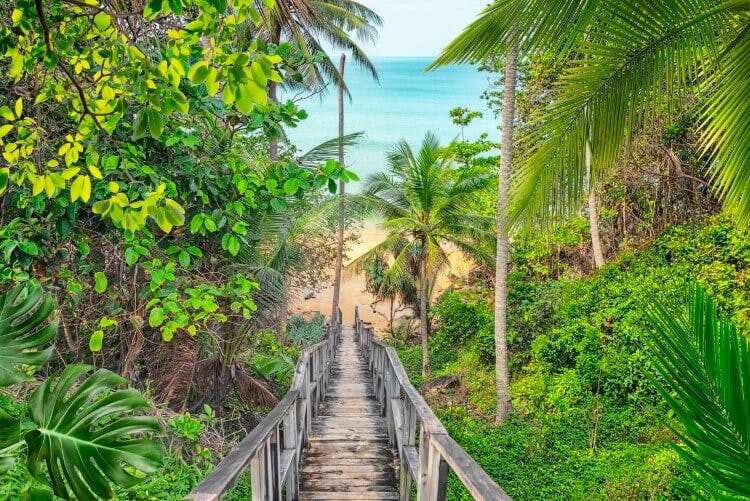 A jungle boardwalk leading to a white sandy beach in Phuket