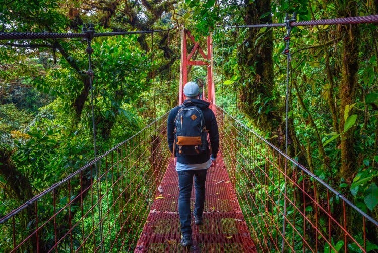 A man walks along a hanging bridge in the Costa Rica rainforest