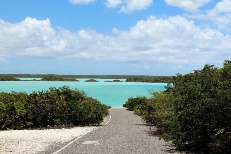 A single track gravel road in Turks and Caicos leading through small bushes and shrubbery to a clear milky blue sea with islands in the distance
