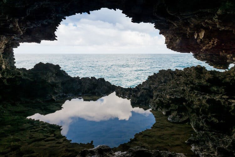 animal flower cave in barbados