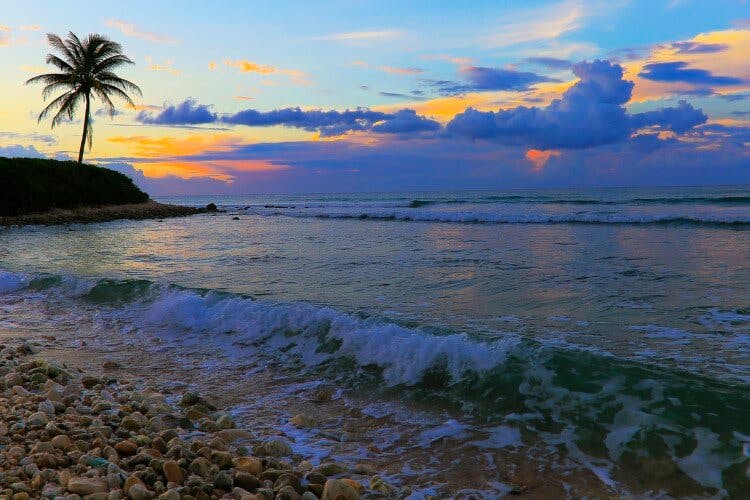 Jamaica coast