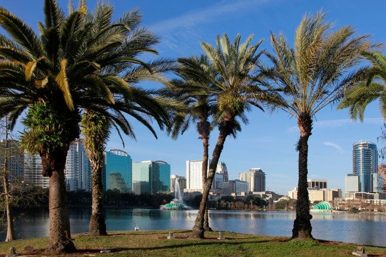 palm trees in front of lake eola in orlando