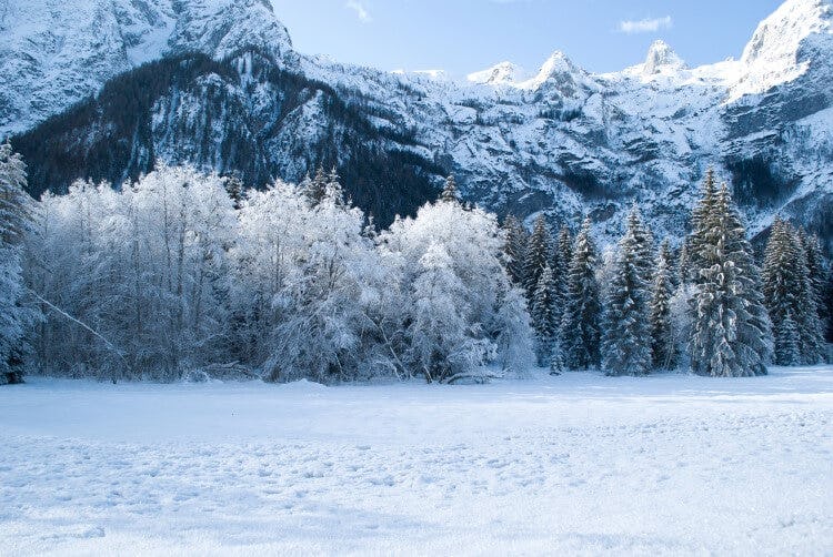 Utah winter landscape