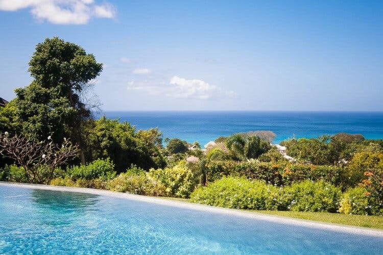 pool overlooking shrubbery and ocean