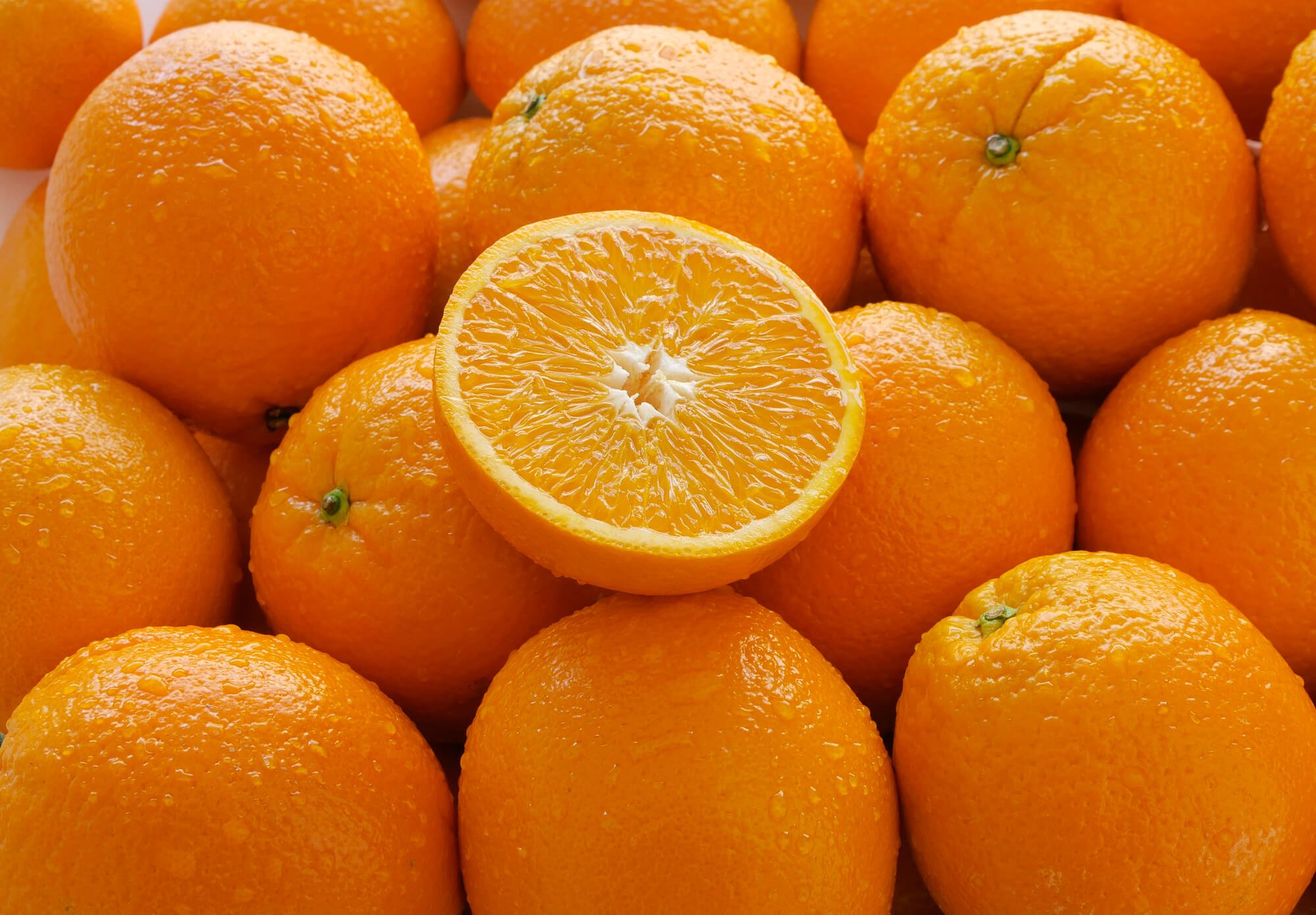 Florida oranges