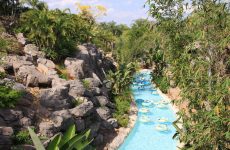 Things to do near Reunion Resort